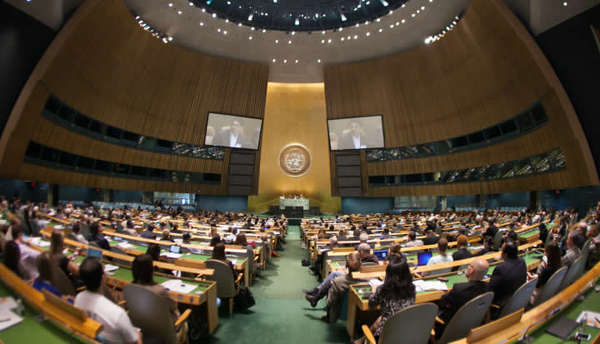 15 UN-Affiliated Social Innovations
