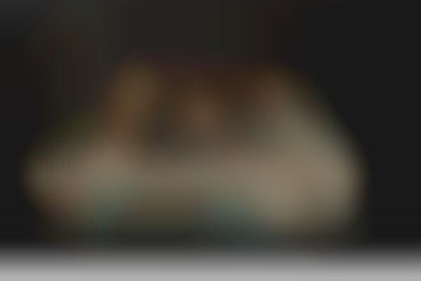 3D Smartphone Cameras