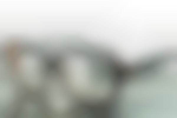 Vinyl Record Eyewear
