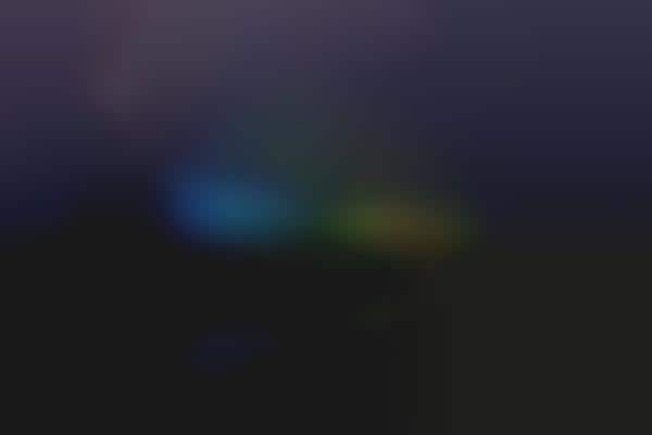 Locomotive Art Exhibitions