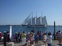 Iconic Heritage Vessel Festivals Image 2
