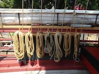 Iconic Heritage Vessel Festivals Image 7