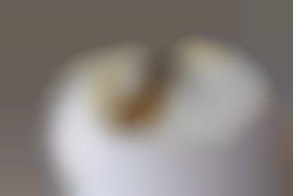 Ceramic-Merged Desserts