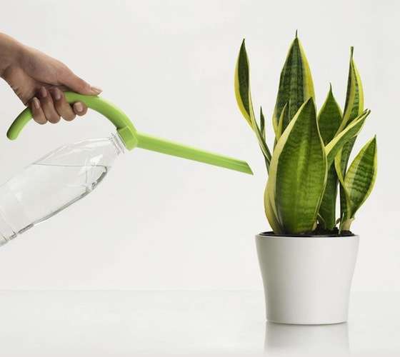 Conscious Water Bottle Add-Ons