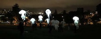 Ethereal Puppet Jellyfishes Image 2