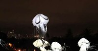 Ethereal Puppet Jellyfishes Image 3