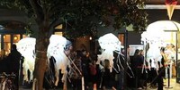Ethereal Puppet Jellyfishes Image 4