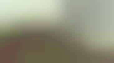 Eco Video Hosting Sites