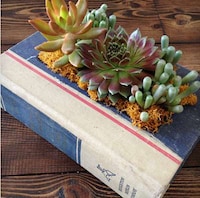 Deceptive Book Planters Image 4