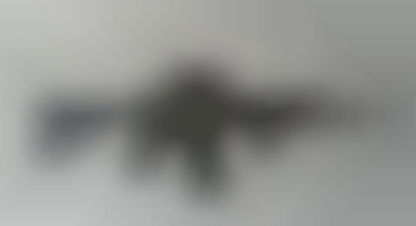 Assault Rifle Coat Hangers