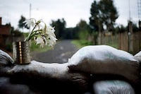 Bleak War Zone Photography Image 5