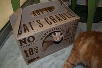 Practical Cardboard Cat Carriers Image 6