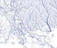 Veiny Detailed River Maps Image 2