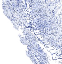 Veiny Detailed River Maps Image 3