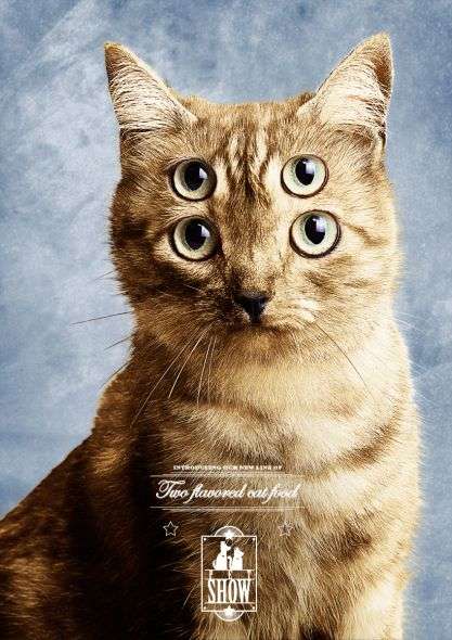 21 Peculiar Pet Campaigns