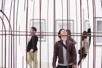 Reflective Cage Sculptures Image 4