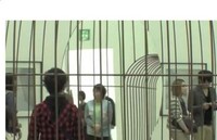 Reflective Cage Sculptures Image 7