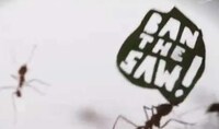 Insect-Incorporating Protests Image 6