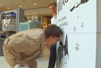 Meow-Powered Vending Machines Image 6