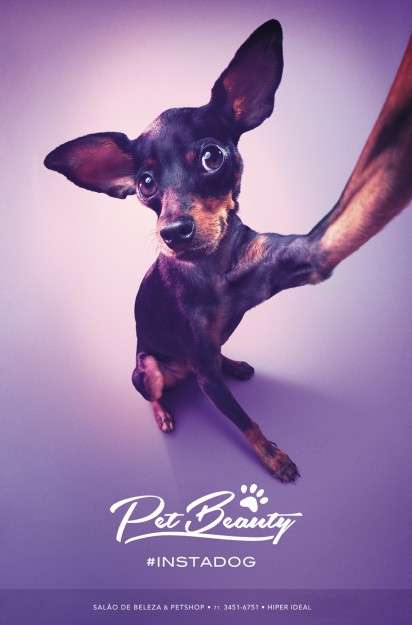 Canine Selfie Ads