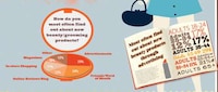 Beauty Addict Infographics Image 2