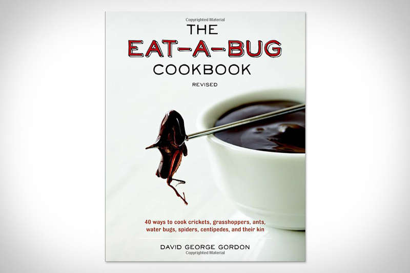 Interesting Insect-Preparing Cookbooks