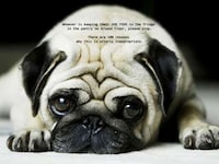 Hilarious All-Company Email Blogs Image 8