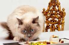 Nutritious Gourmet Cat Food