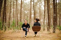 Birch Bark Seating Image 3