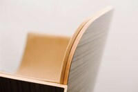 Birch Bark Seating Image 5