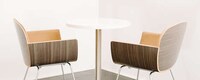 Birch Bark Seating Image 7