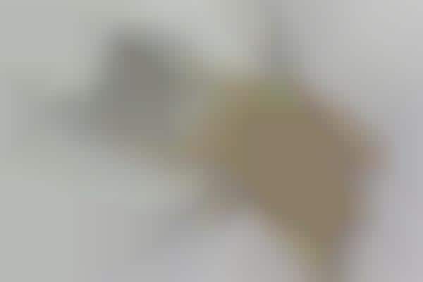 Unusable Everyday Item Photography