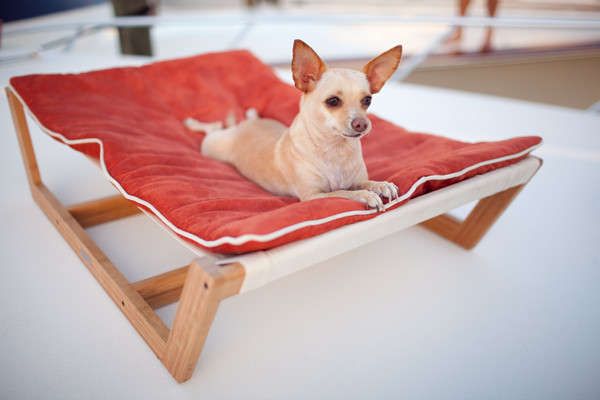 16 Contemporary Canine Beds