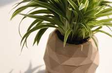 DIY Pineapple Plant Holders