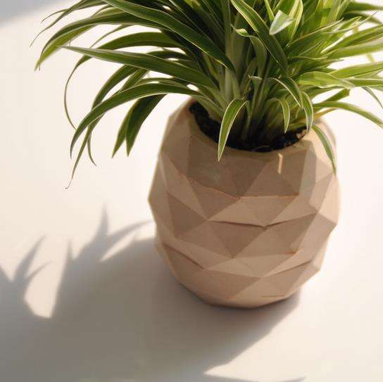 DIY Pineapple Plant Holders