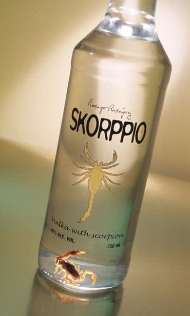 17 Examples of Edible Insects