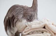 Headless Bird-Topped Photography