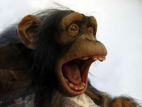 Violent Primate Sculptures Image 5