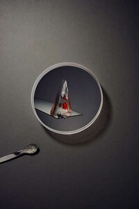 Petri Dish-Like Photography Image 3