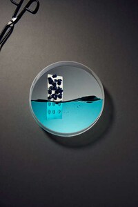 Petri Dish-Like Photography Image 4