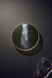 Petri Dish-Like Photography Image 5