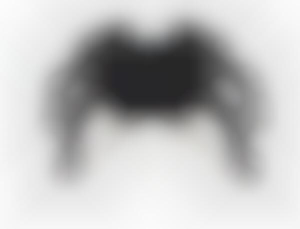 3D-Printed Arachnid Robots