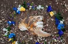 Glorified Roadkill Captures