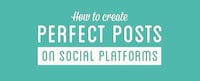 Social Media-Perfecting Infographics Image 6