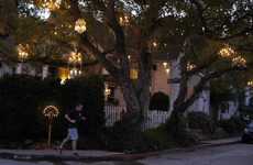 Illuminated Arboreal Installations