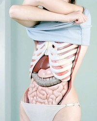 Bizarrely Anatomical Photography (UPDATE) Image 4