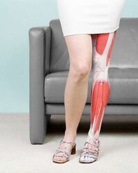 Bizarrely Anatomical Photography (UPDATE) Image 6