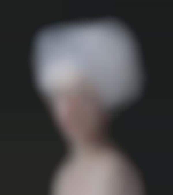 Ordinary Object-Infused Portraits