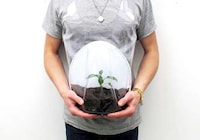 Plant-Babying Projects Image 3