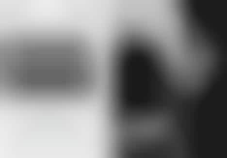 Exotic Foliage Editorials